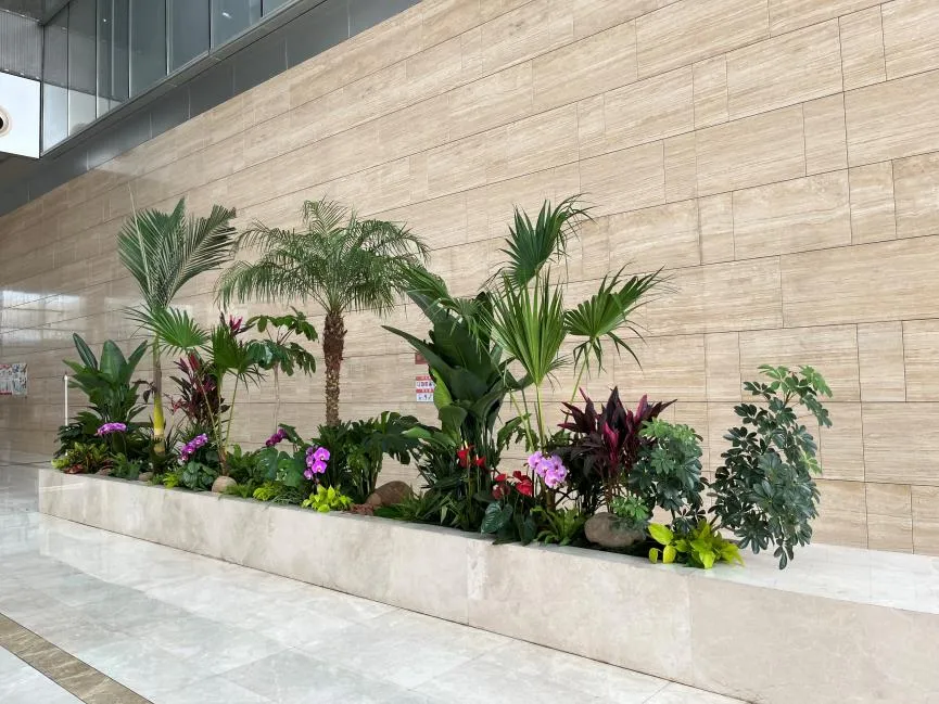 宁波奉化绿植租摆公司